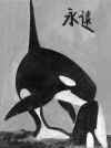 Orcas_eternity.jpg (67096 bytes)