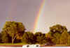 Rainbow with pot of gold.jpg (81497 bytes)